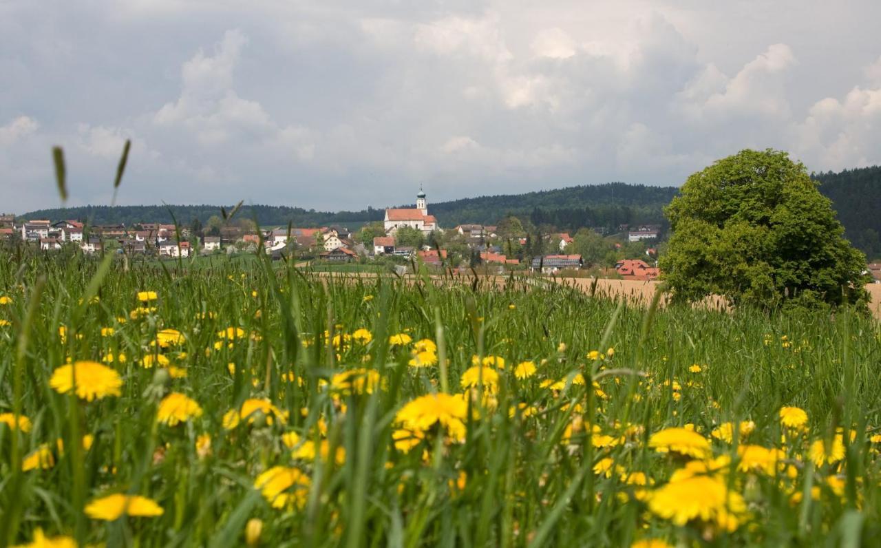Vila Blockhaus Stamsried Exteriér fotografie
