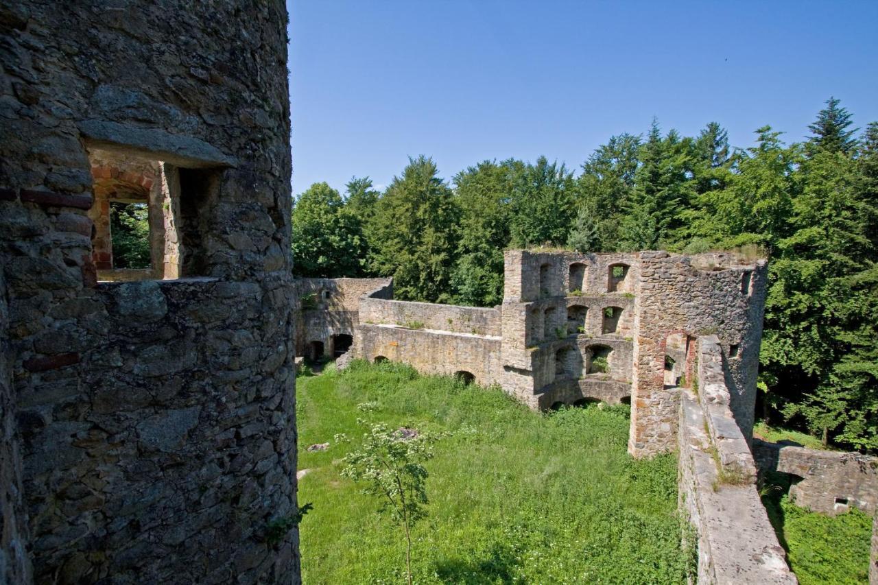 Vila Blockhaus Stamsried Exteriér fotografie